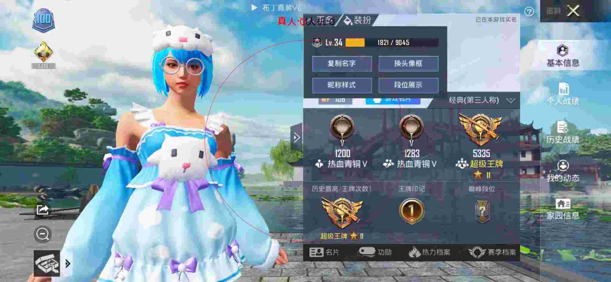 和平精英布丁直装透视 - 和平精英辅助线辅助预览图